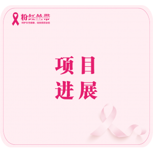 困境乳癌姐妹康复计划项目进展[202404]号